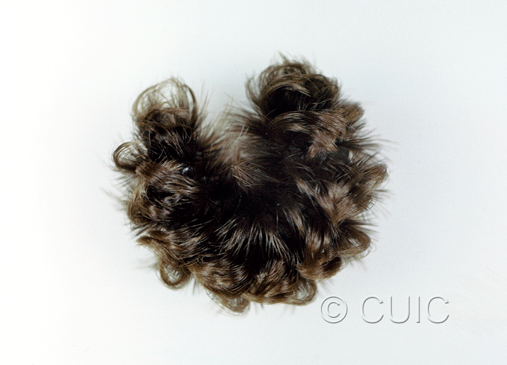 lateral view of larva Ectype clio on Asclepias in USA: AZ