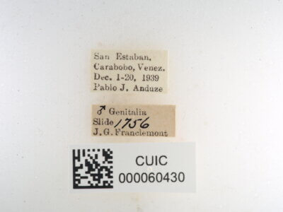 label view of Quentalia