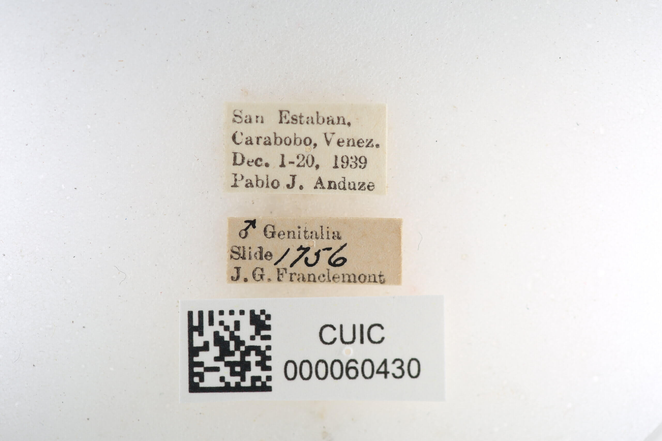 label view of Quentalia