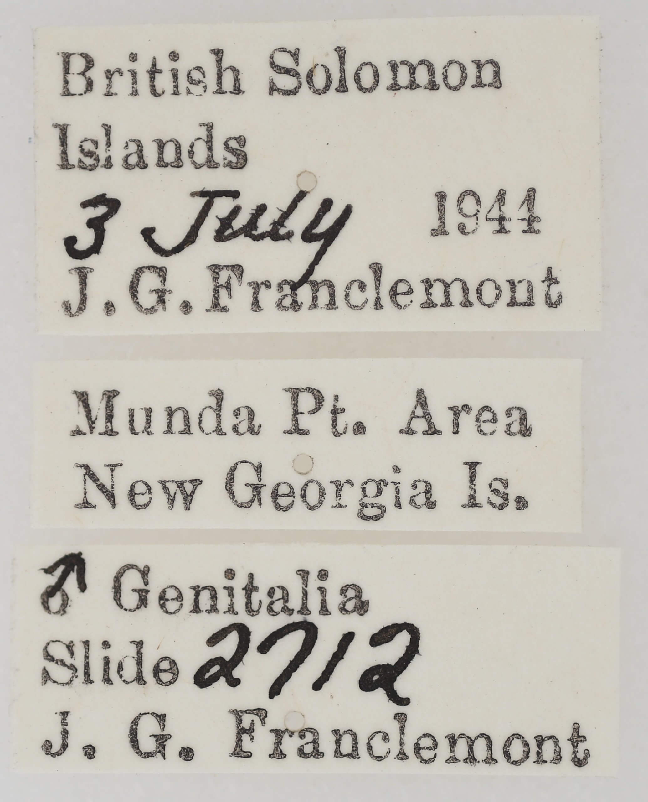 label view of adult Earias