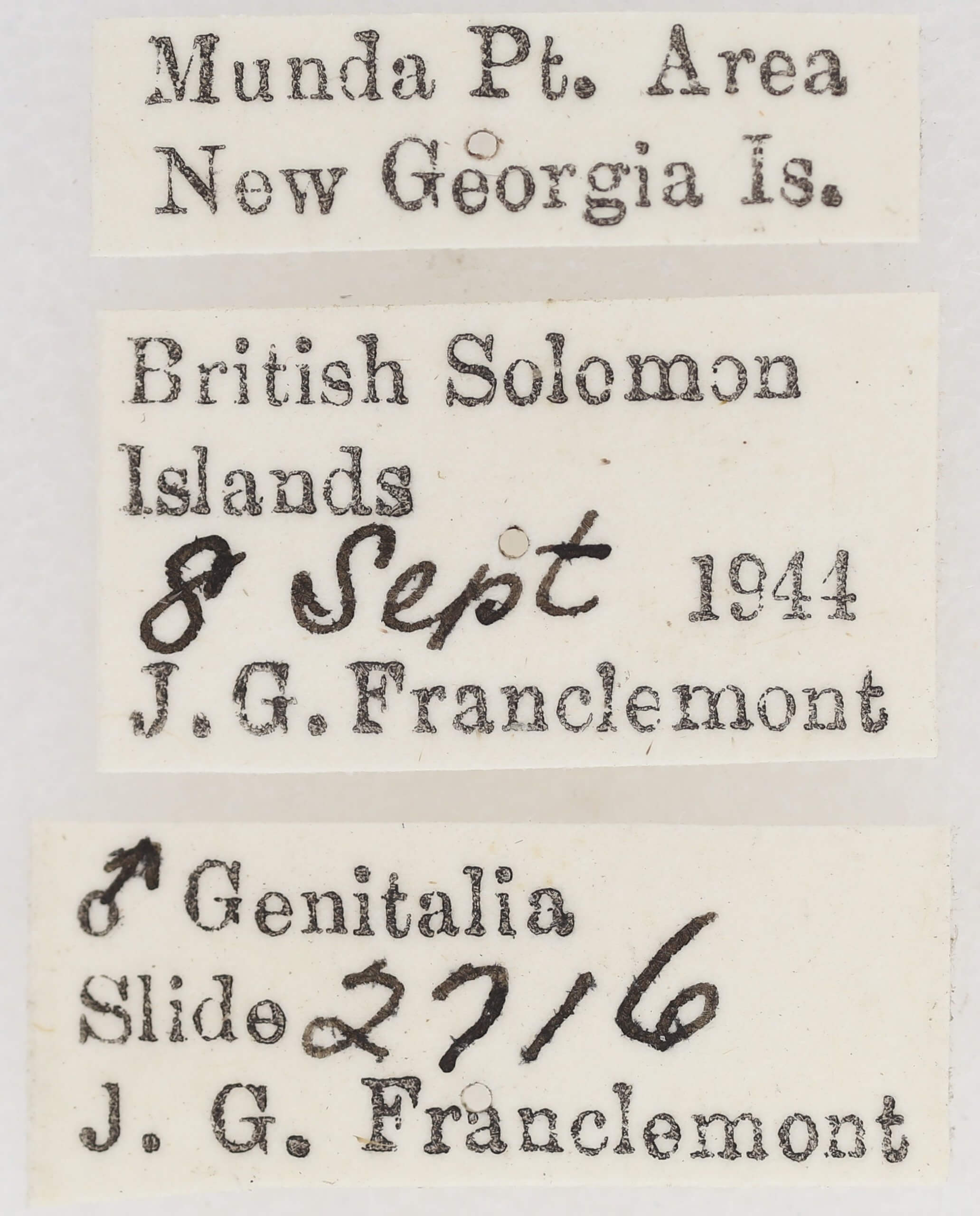 label view of adult Garella