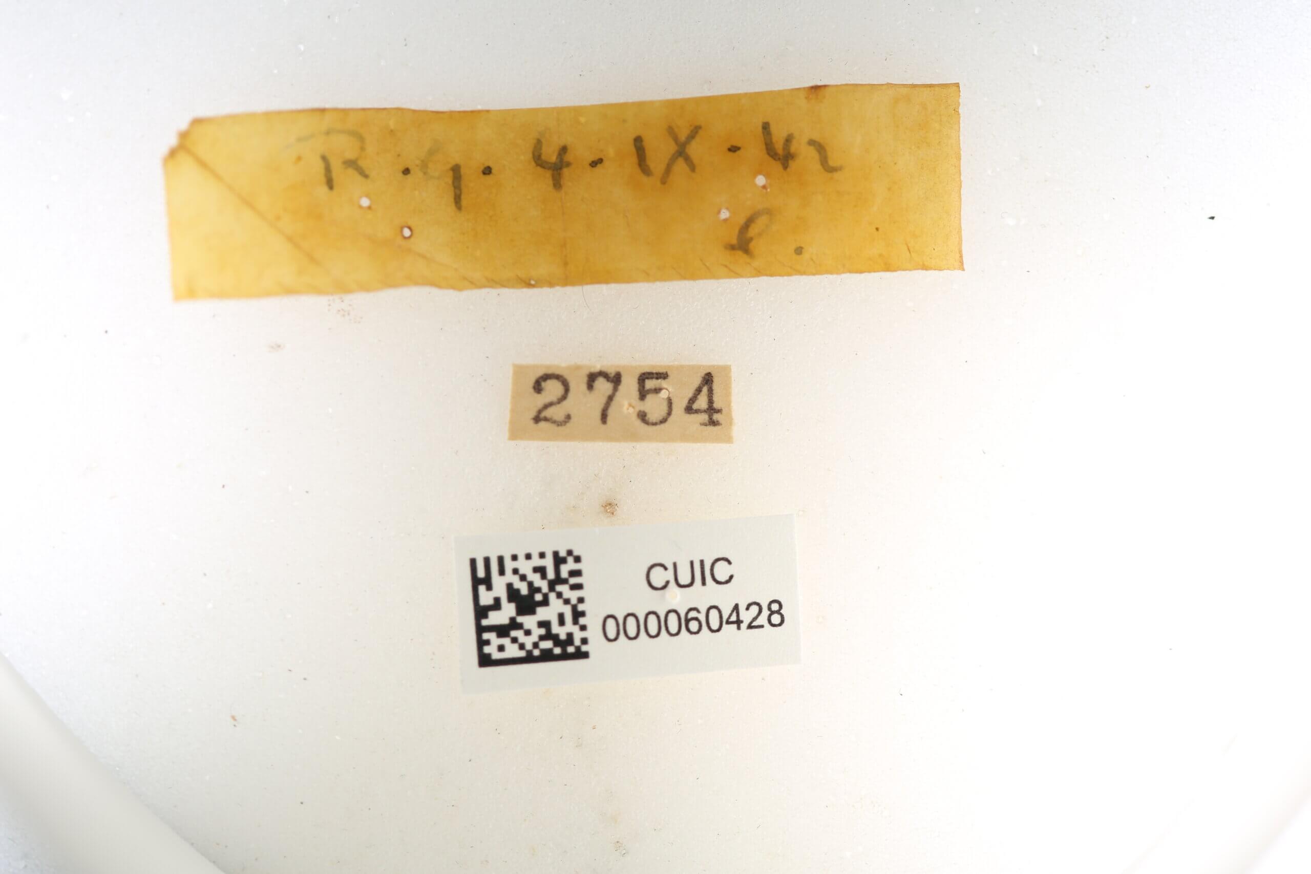 label view of Quentalia granisca