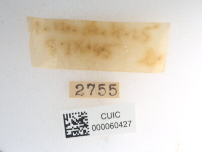 label view of Quentalia sheila