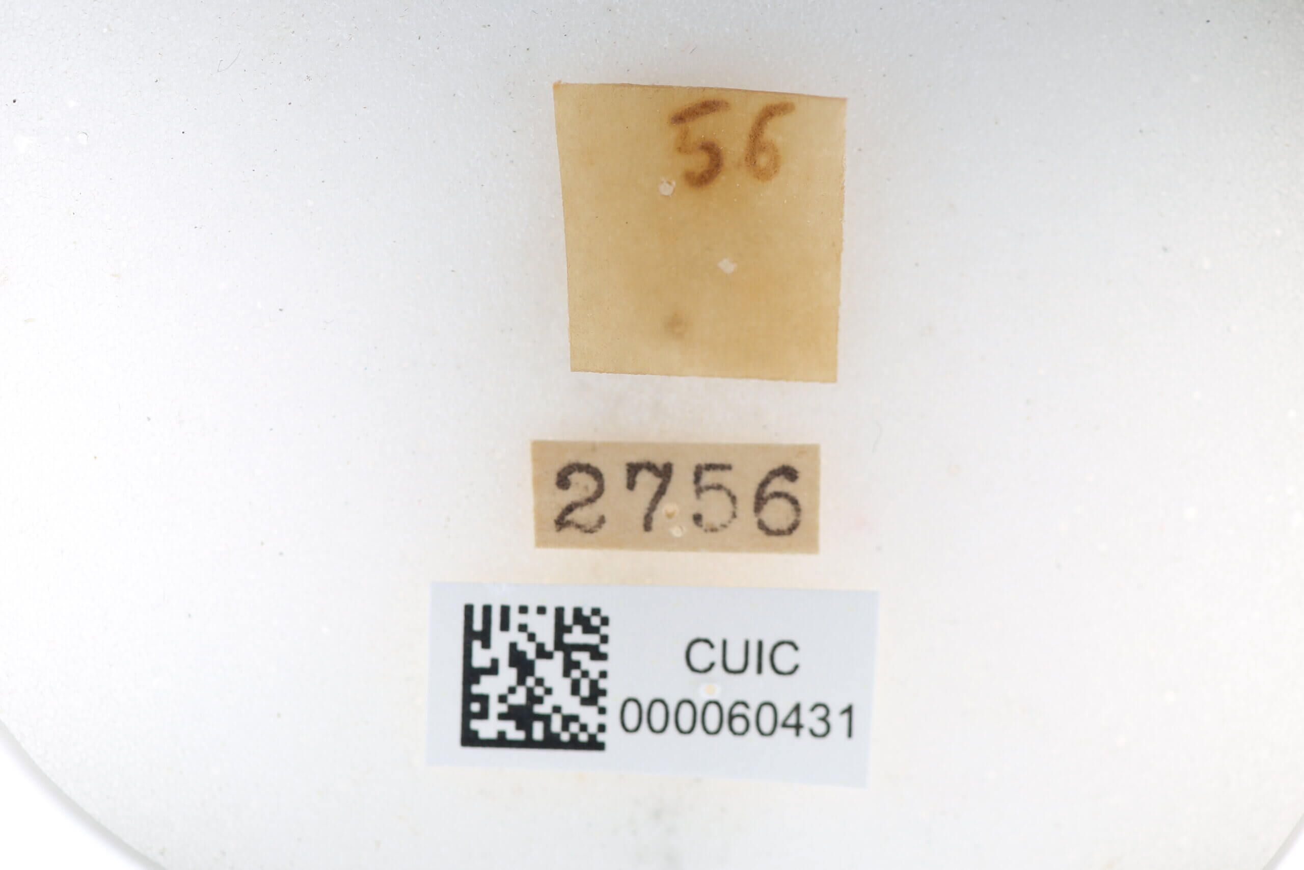 label view of Quentalia sheila