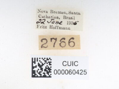 label view of Quentalia