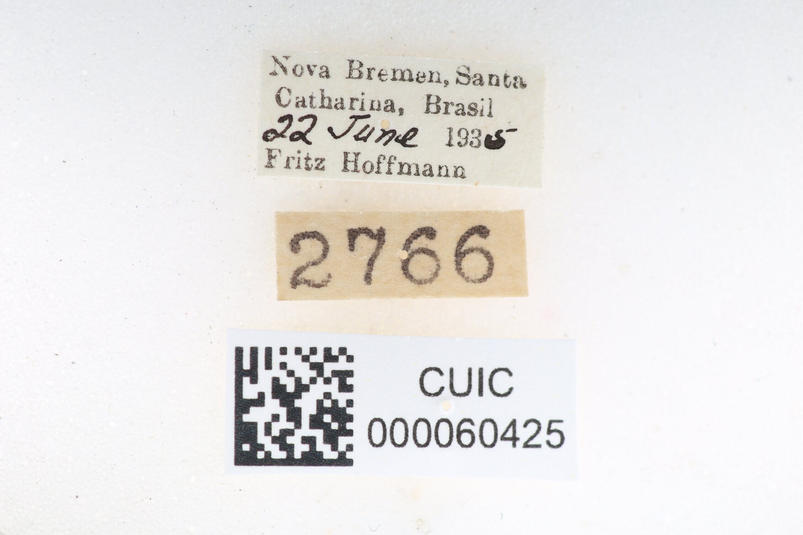 label view of Quentalia