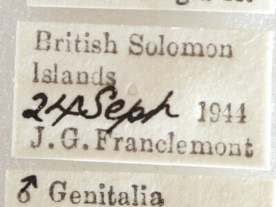 label view of adult Lepidoptera