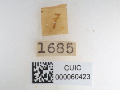 label view of Quentalia