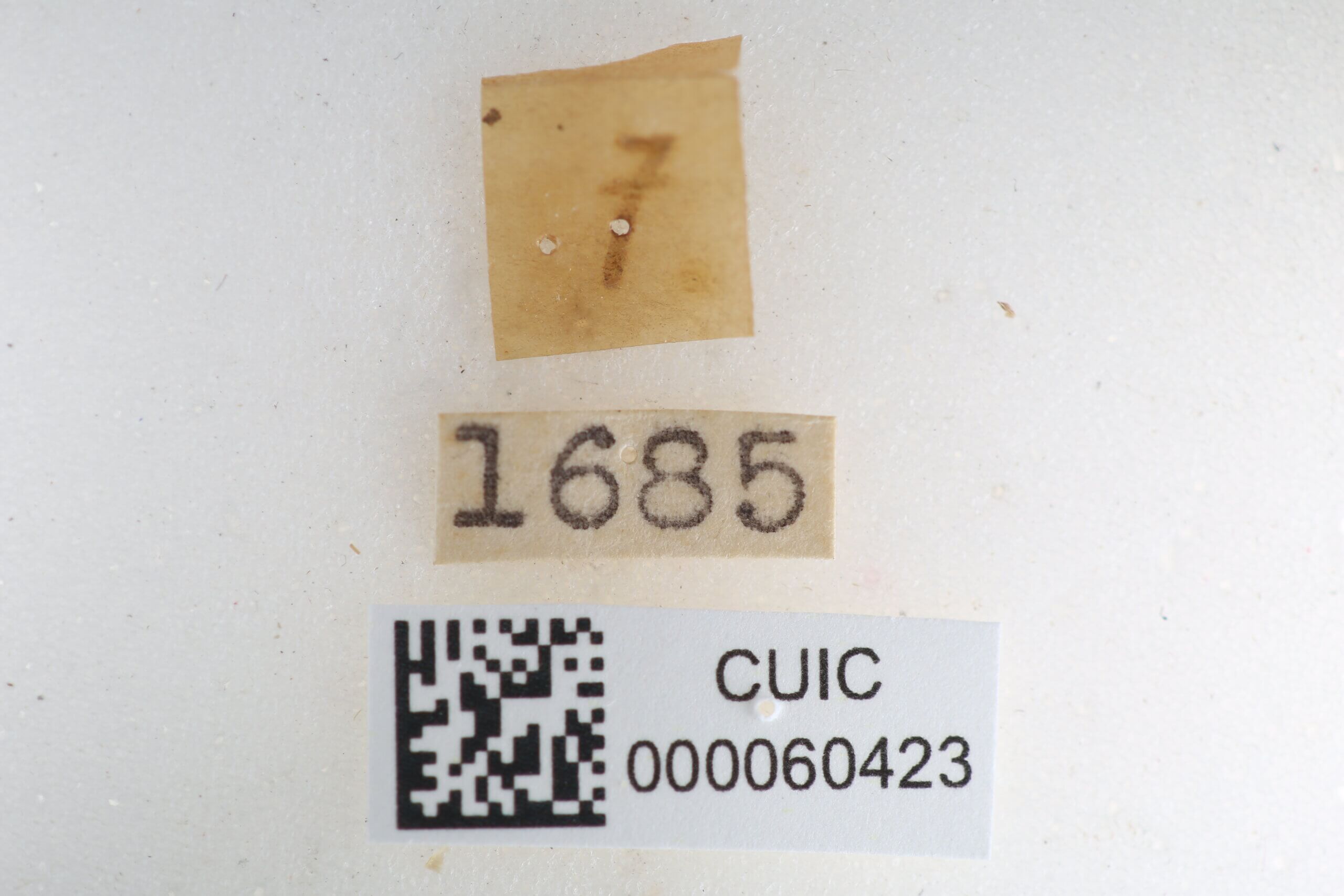 label view of Quentalia