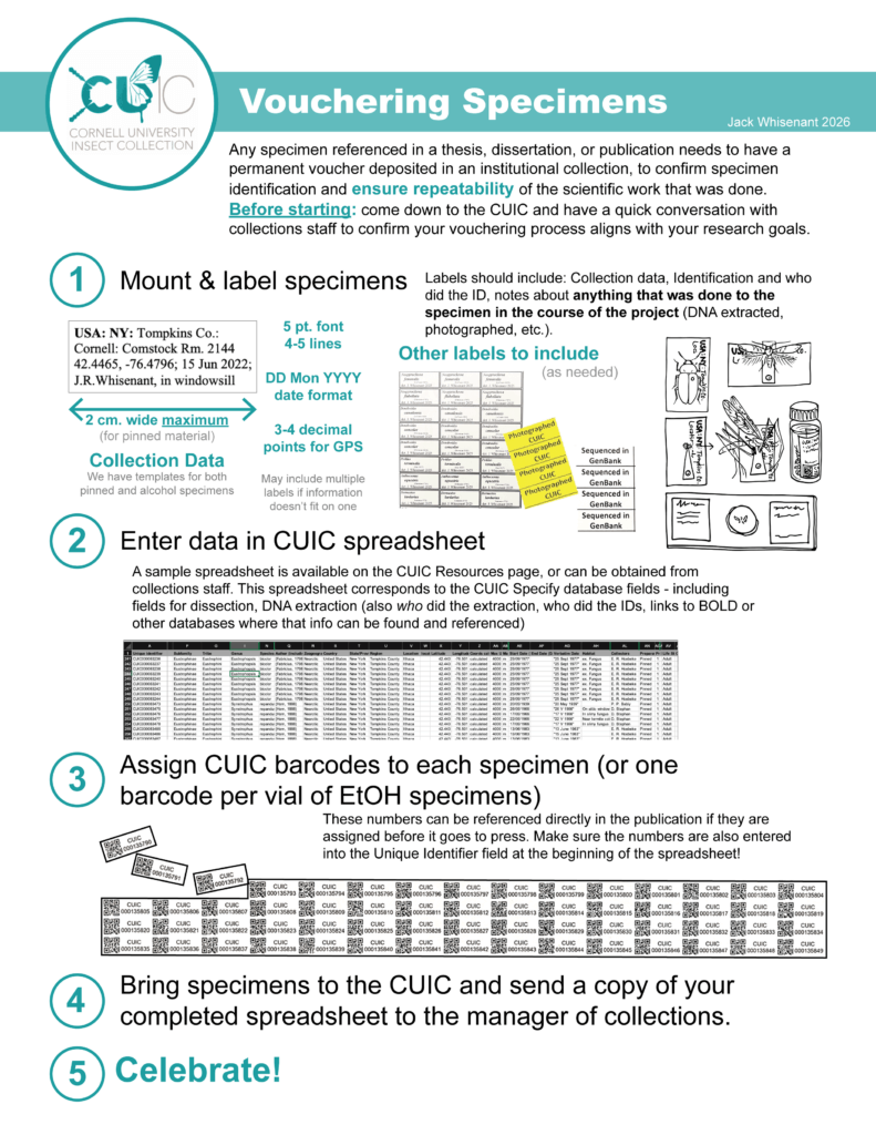 An overview of depositing specimens at the CUIC